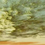 Tag des Jahrs (extract)